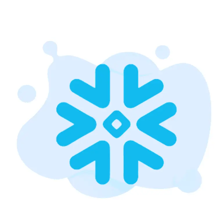 Snowflake Architect